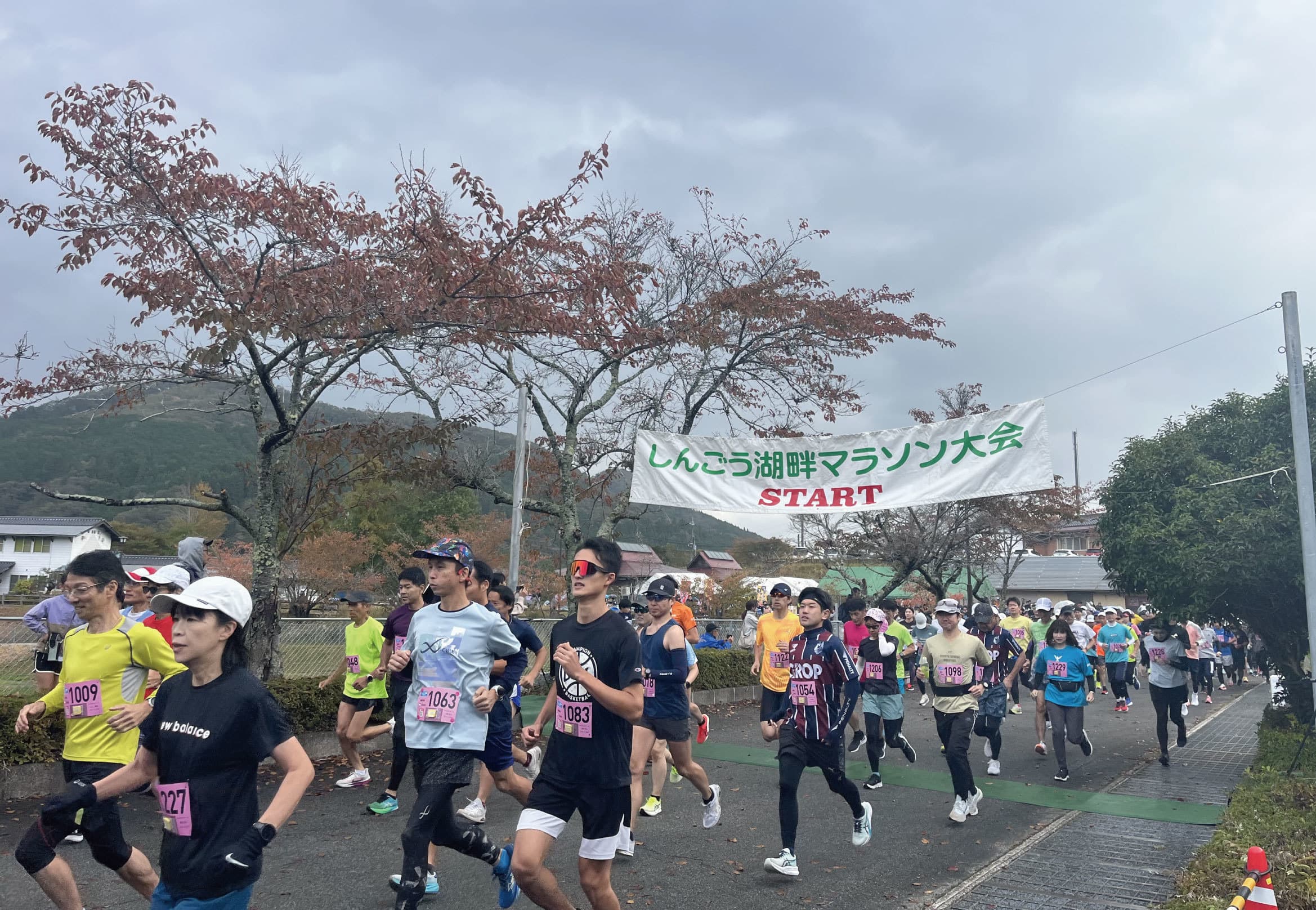261101back2.jpg